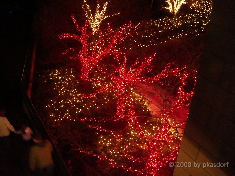 018 Toledo Zoo Light Show [2008 Dec 27].JPG - Scenes from the Toledo Zoo Light Show.